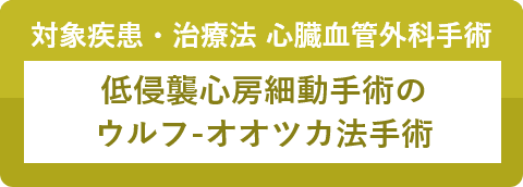 岡村記念病院は、低侵襲心房細動手術のウルフ-オオツカ法手術(左心耳切除/肺静脈隔離術)を始めました。